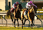 Rosario, Dubawi Heights Wrap Up Yellow Ribbon