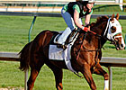 Dublin Works Five Furlongs at Muddy Churchill Dublin Works Five Furlongs at Muddy Churchill