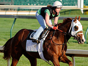 Spendthrift Tries NY Stud Market With Dublin Spendthrift Tries NY Stud Market With Dublin