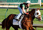 TC Talk: Derby Elimination