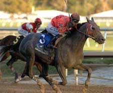 Former Champions Set for Maryland Million Classic Former Champions Set for Maryland Million Classic