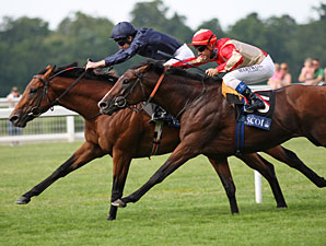 'Marmalade Answers King George Challenge 'Marmalade Answers King George Challenge