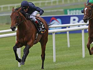 Duke of Marmalade Notches Second Group I Duke of Marmalade Notches Second Group I