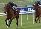 Duke of Marmalade Notches Second Group I Duke of Marmalade Notches Second Group I
