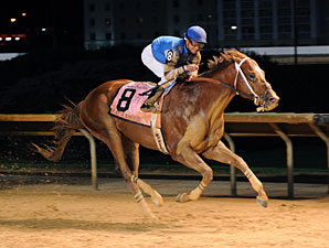Charles Town Sets Handle Records in 2011 Charles Town Sets Handle Records in 2011