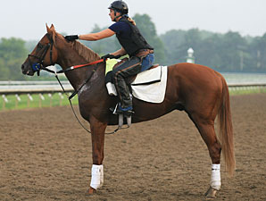 Duke of Mischief Tops Among Whitney Workers Duke of Mischief Tops Among Whitney Workers