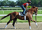 Haskin's Belmont Report: Leftovers