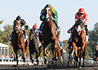 Maiden Dullahan Shocks Breeders' Futurity