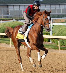 5% of Dullahan's Derby Earnings to Rider Fund 5% of Dullahan's Derby Earnings to Rider Fund