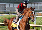 5% of Dullahan's Derby Earnings to Rider Fund