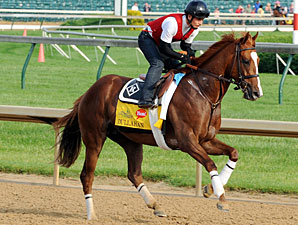 Dullahan Seeks Second Derby Score for Dam Dullahan Seeks Second Derby Score for Dam