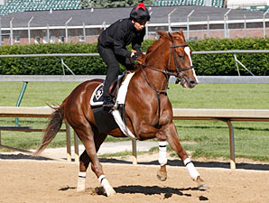 Dullahan Will Skip Preakness; Belmont Next Dullahan Will Skip Preakness; Belmont Next