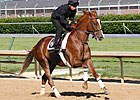 Dullahan Will Skip Preakness; Belmont Next Dullahan Will Skip Preakness; Belmont Next
