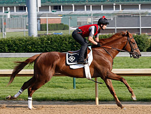 Dullahan Turns in Swift 5F Drill at Churchill Dullahan Turns in Swift 5F Drill at Churchill