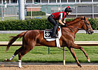 Dullahan Turns in Swift 5F Drill at Churchill Dullahan Turns in Swift 5F Drill at Churchill