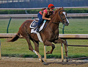 Dullahan Breezes at Churchill Downs Dullahan Breezes at Churchill Downs