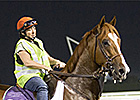 Dullahan Takes the Stage in Burj Nahar Dullahan Takes the Stage in Burj Nahar