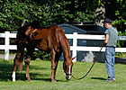 Dullahan is 9-5 Morning Line Belmont Favorite Dullahan is 9-5 Morning Line Belmont Favorite