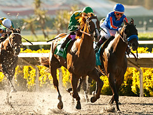 Dullahan Could Use Jamaica as Classic Prep Dullahan Could Use Jamaica as Classic Prep