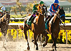 Dullahan Could Use Jamaica as Classic Prep Dullahan Could Use Jamaica as Classic Prep