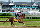 Kentucky Derby Horses & Their Auction Prices