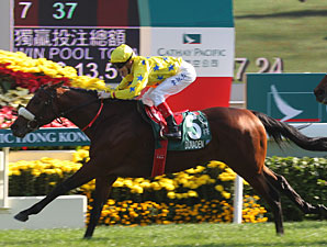 Locals Dominate Hong Kong International Races Locals Dominate Hong Kong International Races