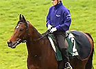 Hong Kong Cup Day: Mikel Delzangles & Dunaden