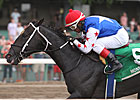 Solid Field Drawn for Springboard Mile Stakes Solid Field Drawn for Springboard Mile Stakes