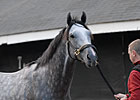 Rain Alters Plans for Belmont Hopefuls