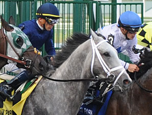 Sale Superstars Are Kentucky Derby Contenders Sale Superstars Are Kentucky Derby Contenders
