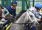 Dunkirk Works Five Furlongs Dunkirk Works Five Furlongs