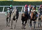 Ky. Derby Trail: Memorable Moments      