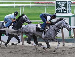 Haskin's Belmont Picks: No Dunkirk Evacuation Haskin's Belmont Picks: No Dunkirk Evacuation
