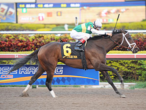 Dust and Diamonds Cashes in at Gulfstream Dust and Diamonds Cashes in at Gulfstream