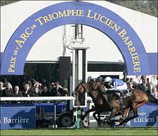 O'Brien Likely to Have Pair of Breeders' Cup Starters O'Brien Likely to Have Pair of Breeders' Cup Starters