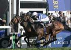 Dylan Thomas Survives Inquiry, Wins Prix de l'Arc de Triomphe Dylan Thomas Survives Inquiry, Wins Prix de l'Arc de Triomphe