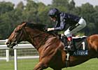 Dylan Thomas Out of Japan Cup Dylan Thomas Out of Japan Cup