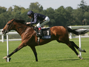 Dylan Thomas Out of Japan Cup Dylan Thomas Out of Japan Cup