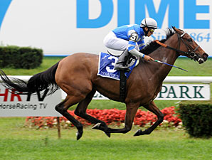 Dynaforce Return Part of Preakness Undercard Dynaforce Return Part of Preakness Undercard