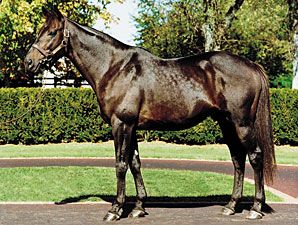 Dynaformer Pensioned After 'Cardiac Event' Dynaformer Pensioned After 'Cardiac Event'