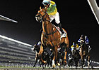 Hong Kong's Dynamic Blitz Upsets Al Shindagha Hong Kong's Dynamic Blitz Upsets Al Shindagha