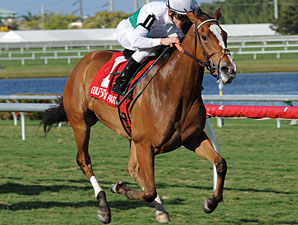 Dynamic Holiday Seeks Dynamic VA Oaks Run Dynamic Holiday Seeks Dynamic VA Oaks Run