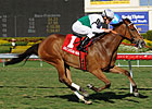 Dynamic Holiday Wins 4th Straight in 'Bride