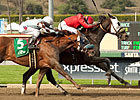 Dynamic Host Topples Tokyo City Cup Dynamic Host Topples Tokyo City Cup
