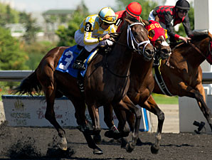 Dynamic Sky Delivers in Plate Trial Thriller Dynamic Sky Delivers in Plate Trial Thriller