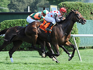 Dynaslew Strikes in Ballston Spa Dynaslew Strikes in Ballston Spa