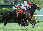 Dynaslew Strikes in Ballston Spa Dynaslew Strikes in Ballston Spa