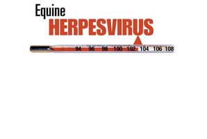Bowie Samples Negative for EHV-1 Bowie Samples Negative for EHV-1