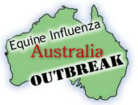 Australian EI Update: More Than 150 Horses Reported Sick Australian EI Update: More Than 150 Horses Reported Sick