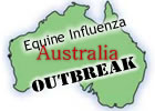 Australian EI Update: More Than 150 Horses Reported Sick Australian EI Update: More Than 150 Horses Reported Sick
